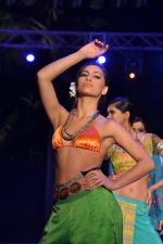 Model walk the ramp for Anupama Dayal Show at IRFW 2012 Day 1 in Goa on 28th Nov 2012 (74).JPG